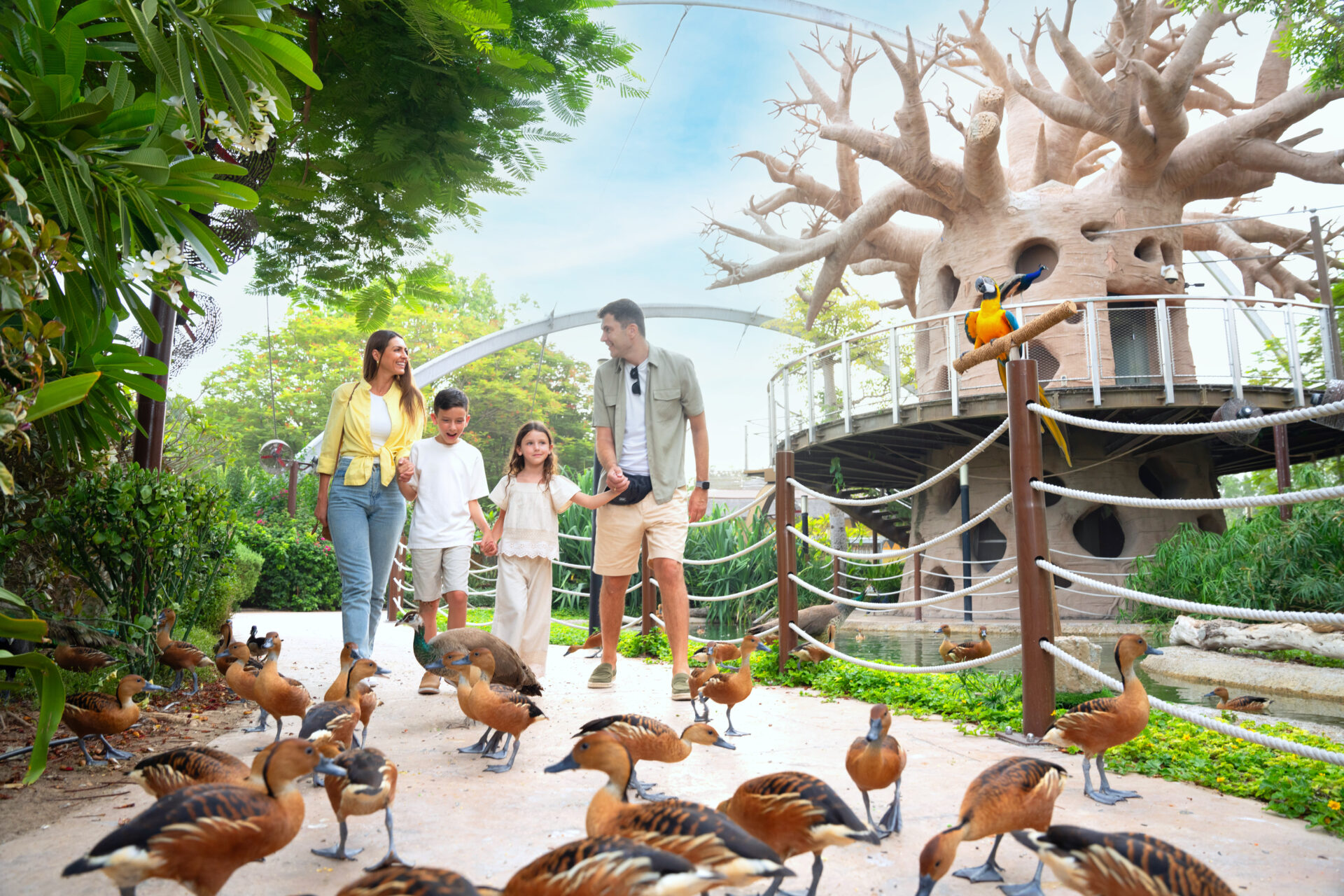 African Grand Aviary 1